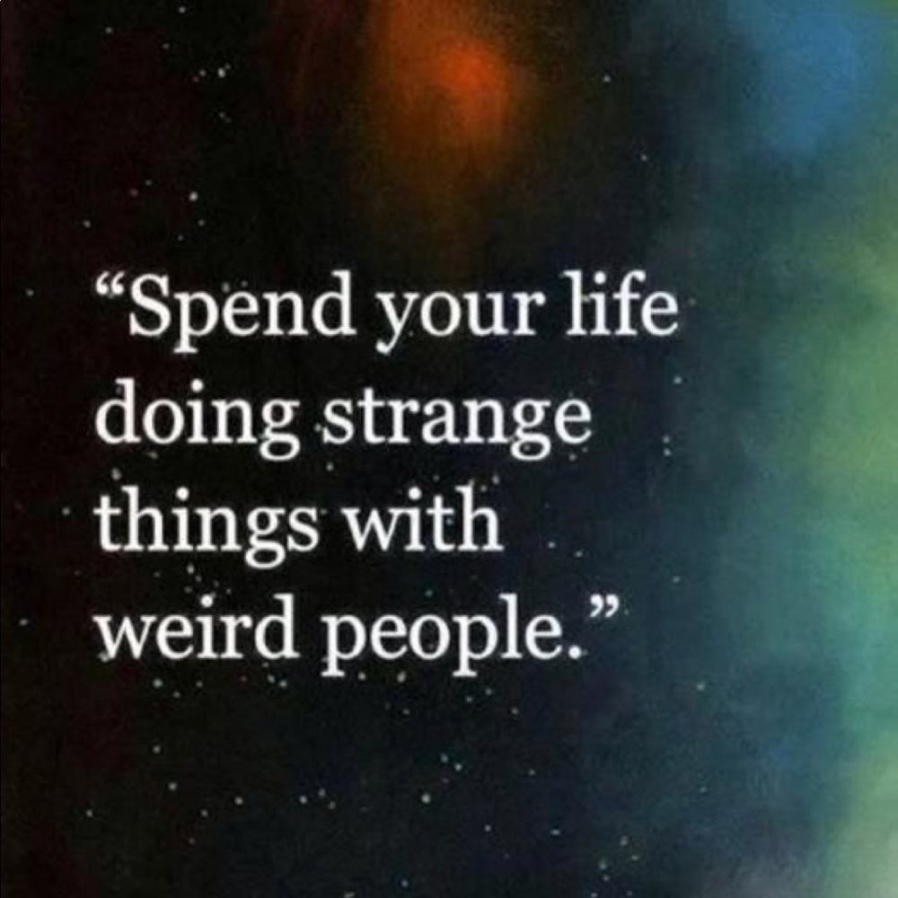 Meet your Posher, Lindsey